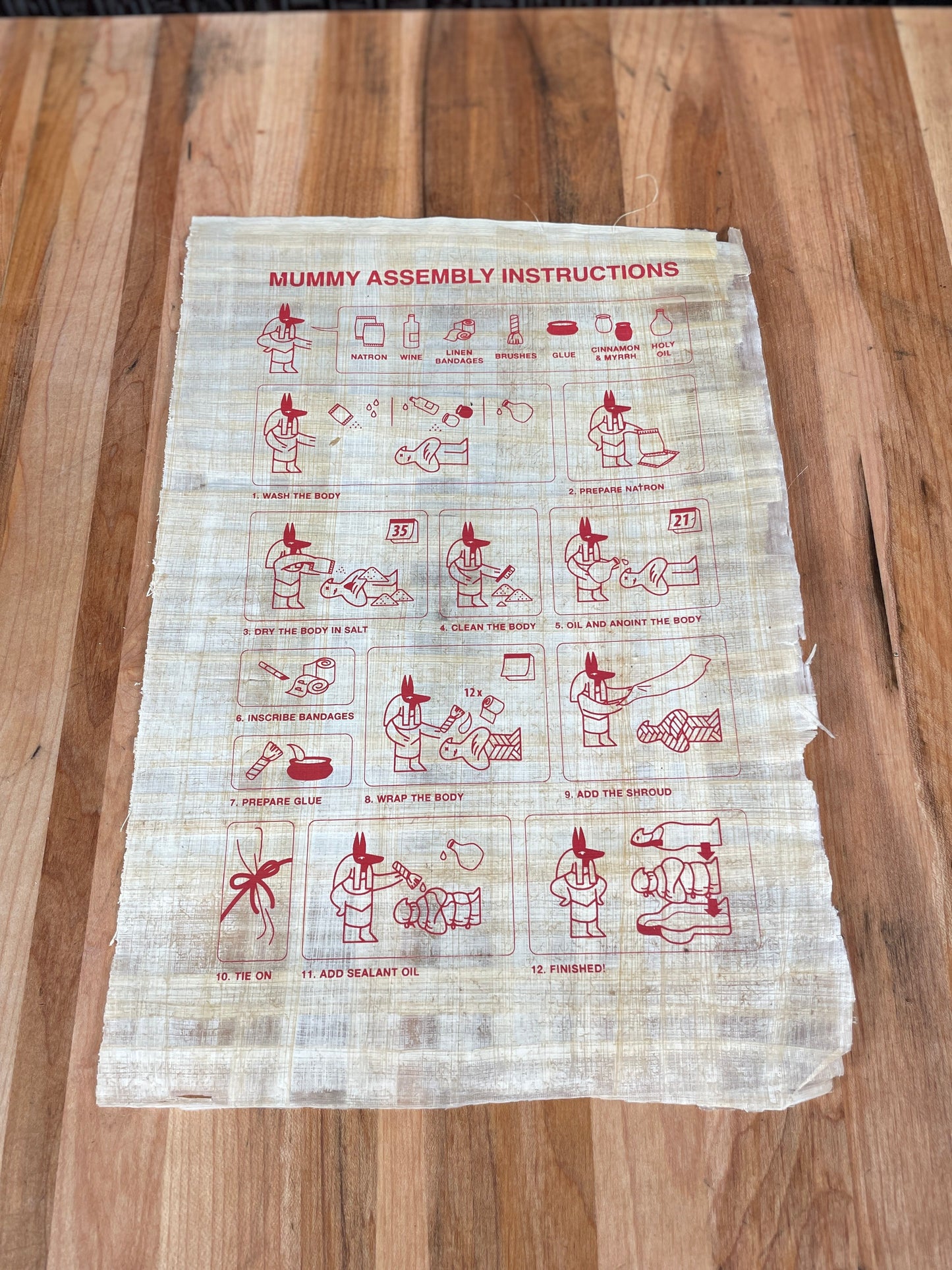 Papyrus Mummy Assembly Instructions Poster