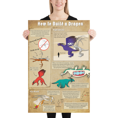 How to Build a Dragon Poster