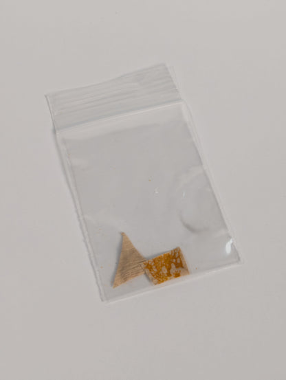 Just Jerry - Physarum Polycephalum - PRE-ORDER